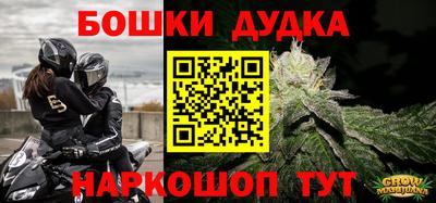 дурь Кингисепп
