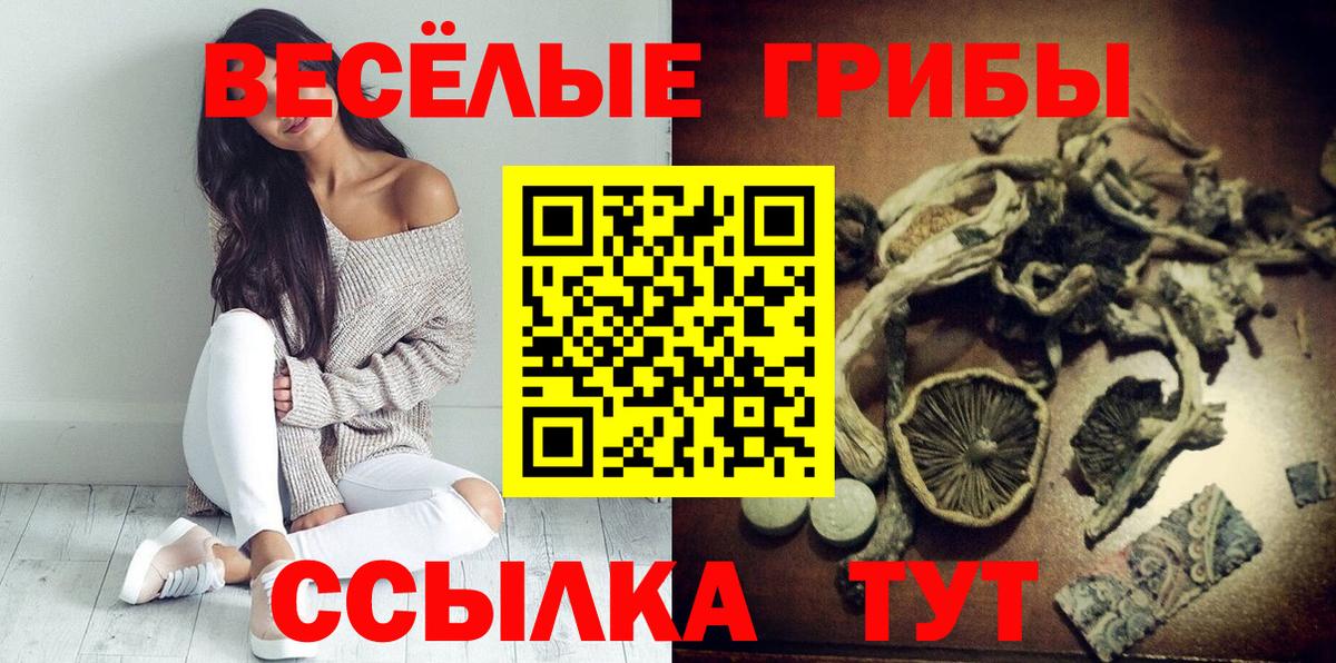 Галлюциногенные грибы мицелий  Вход с VPN  Кувандык 