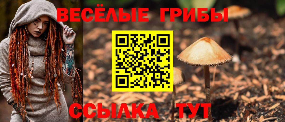 Псилоцибиновые грибы ЛСД Кувандык